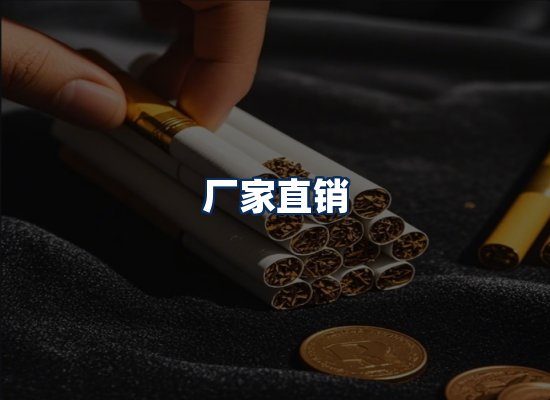 专业团队办公环境